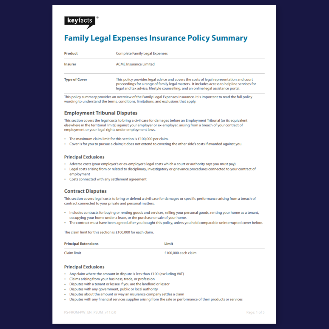 Policy Summary / Key Facts document example